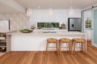 Endeavour Draw 438 Photo